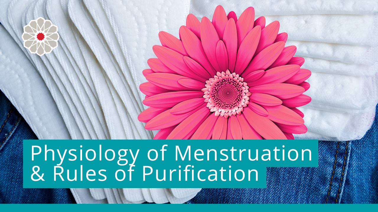 Physiology of Menstruation and Rules of Purification